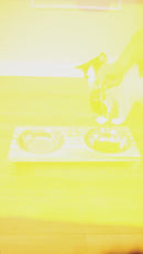 Comedouro P/ Gato Cachorro Pet Elevado Duplo 2 Potes Madeira PINUS CLARO