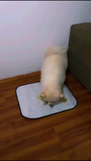 Kit 4 Uni. Tapete Higiênico lavável para Cães Pet Reutilizável